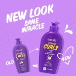북미내수 Aussie 오지 미라클 컬 코코넛 오일 디탱글링 밀크 헤어 트리트먼트 2개 세트 미국 A 5.37 fl oz (2팩) : 글로비아 셀렉트