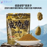 성공상안 중규떡밥 포포구 알갱이 향어 잉어 붕어 민물낚시 : 용왕낚시