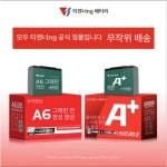 전동스쿠터 배터리 바이크 배달용 : 웨인즈베타