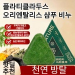 측백나무 잎 아미노산 샴푸 비누 천연비누 탈모 방지천연 허브 샴푸 125g : Trendy House