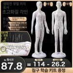 경혈 모형 한 혈자리 교육 브론즈 표준부위도 남성 여성 혈도 52cm 컬러 단단한 52cm남성 대형 글자 : 엑도