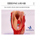 성대 후두 모형 발성 실험실 음악 인대 모델 인체모형 교사용 갑상선 보컬 구조 교구 구강 : 에잇디글로벌