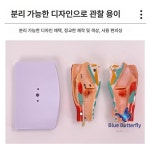 성대 후두 모형 발성 실험실 음악 인대 모델 인체모형 교사용 갑상선 보컬 구조 교구 구강 : 에잇디글로벌