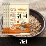 원이농산 | (신선집중) 삼원농산 귀리 20kg (5kg/4개) - 2024년 캐나다산 : 에이치유니