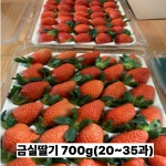 금실이네농원 | 고당도 산청 금실딸기 프리미엄 생딸기 산지직송 1kg 겨울딸기 : LateRain