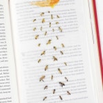 광주시양봉연구회(현성양봉원) | 스티커 (꿀벌) 데코용스티커 다이어리스티커 : 현성이네