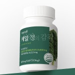 동결건조 컬리케일 추출분말 정제형 60정 고함량 간편 섭취 곱슬케일 커리 캐일 : 위드인테그리티