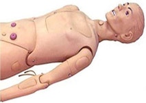 마니킨통닭 | MAHWER 마니킨 환자 관리 인간 간호학 대학에서 가르치기 위한 실물 크기 : 모레카
