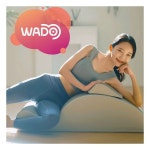 와두 바로스파인 프로 Pro 스파인코렉터 : 팔리복스11