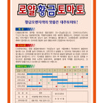 대추방울토마토씨앗 로얄황금 10립 미니토마토씨앗 : 스토어 영농사