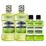리스테린 내추럴 그린티 마일드 750ml+250ml(2+2) : 디어리빙스토어