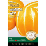 베스트 금꿀 참외 씨앗 50립 아삭하고 당도 높은 참외씨 종자 : 양동씨앗마켓