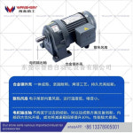 완신 기어드 모터 GH32/0.75KW1.5KW : 태구글로벌