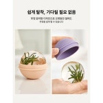 오렌지팟양주덕현점 | 대형 얼음틀 트레이 위스키 메이커 양주 구슬 하이볼 서머오렌지 서머오렌지 : 비비드직구