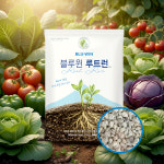 블루윈루트런 대유 비료 해조추출물 뿌리발근제 토양개량 유기농업자재 1kg : 대유 공식스토어
