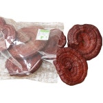 국산 영지버섯 대 1kg 1개 : 딜팡상회