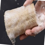 수세미청소용역방역일번지 | 식물 천연수세미 브라운 욕실청소솔 세척브러쉬 청소용브러쉬 통수세미 : 아이템 19번지