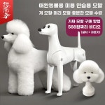 태영가발 미용.피부 | 털 푸들 비숑위그 미용 자 G. 기본 푸들 가발흰색 또는 검은색 가능 뼈대는 포함되지 않음 : 위픽글로벌
