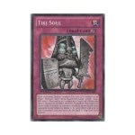 11645848 덱 카드 수집 遊戯王 英語版 Tiki Soul STOR-EN080 - Storm of Ragnarok 1st Edition Common : 육사코퍼레이션