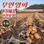 전남무안지역자활센터유통전문판매업사업장 | 전남 무안 황토골 양파 중대혼합 5kg : 에이엠마트유통
