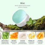 비바체빌리아드크럽 | 립 스크럽 슈가 각질 제거 및 보습 립밤 주걱 포함 향 2가지 (#코코넛) #1Coconut : 비바체바이지