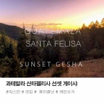 과테말라 산타펠리사 선셋 게이샤 200g : 스카이랩커피