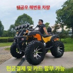 엘에이치모터스 | 산악 ATV 4륜 사발이 오프로드 가솔린 125cc 농업 레저 전천후 바이크 : 비니글로벌6