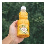 제주향이푸드 | 푸드맛남 제주향 감귤 천혜향 한라봉 330ml 수량별 : 유가11
