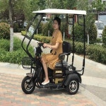 삼륜 전기자전거 경량 스쿠터 출퇴근용 안전한 삼륜자전거 : 에이치월드스토어