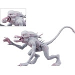 네카컴퍼니 | NECA 에일리언 클래식 - 5.5인치 액션 피규어 네오모르프 : H에이컴퍼니