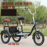 성인 세발 자전거 3발 할머니 : 웨인즈베타