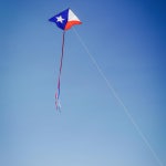 인 더 브리즈 프린트 델타 카이트 와 성인을 위한 쉬운 비행 단선 Texas : WEHO