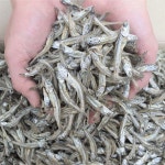 삼대원 국내산 특 상급고바멸치 700g 고바멸치 중멸치 고추장멸치 안주멸치 식사 집밥 정식 중식 일식 즉석요리 : 노랑마트01