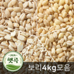 2026년 햇곡 국산 찰보리 4kg 늘보리 흑보리 모음 : 주식회사 현대농산