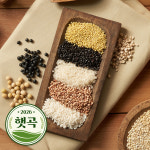 2026년 햇곡 국산 현미 1kg 보리 서리태 잡곡 모음 : 주식회사 현대농산