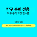 탁구 스윙 교정 자세 훈련 : 다인솔루션-