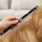 펫콤애견용품점 | 반려동물 빗 스텐 블랙 펫콤 강아지 애견 반려견 일자 : 모션브릭