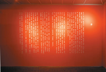 미술가 박윤영 - Installation view of Sleep- walking on Pads