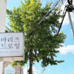 마리즈드로잉