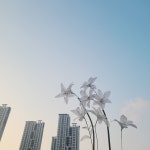 플로레스