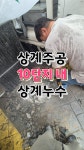 수도설비배관누수양변기하수구뚫음수전교체화장실씽크대세면