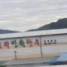 금상매운탕 이미지