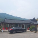 삼태기손두부 이미지