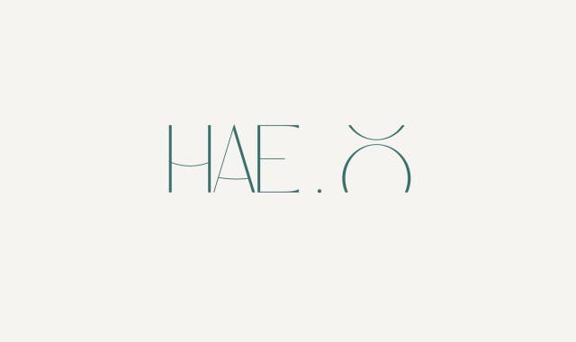 Haeo Hair Extensions