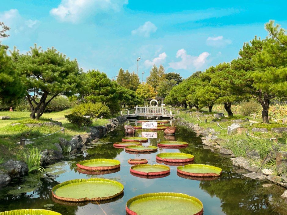 선선한 가을에 즐길 수 있는 전국 축제!!