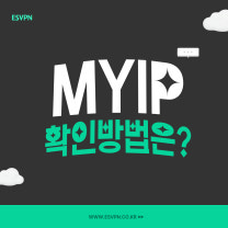 <mark>MY</mark> <mark>IP</mark> 찾기 확인 방법은? 통신사 VPN ESVPN의 이미지