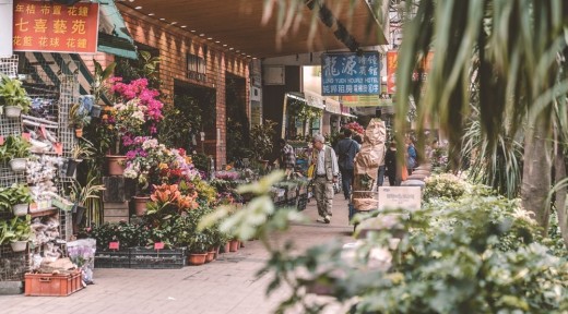 몽콕 꽃시장