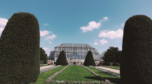 베를린 식물원 & 식물 박물관