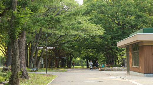 삿포로 마루야마 공원