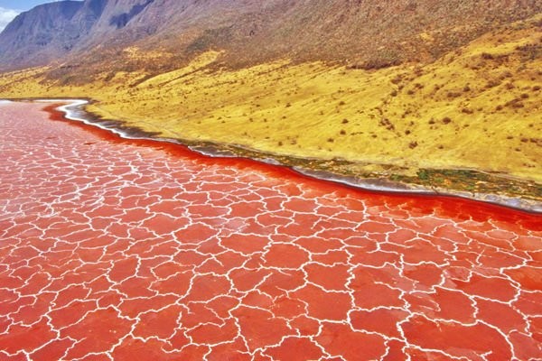 Lake Natron